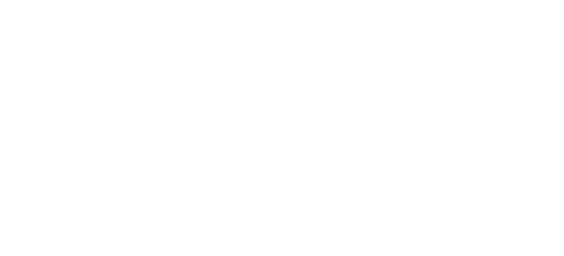 Primo USA made Kamado Grills
