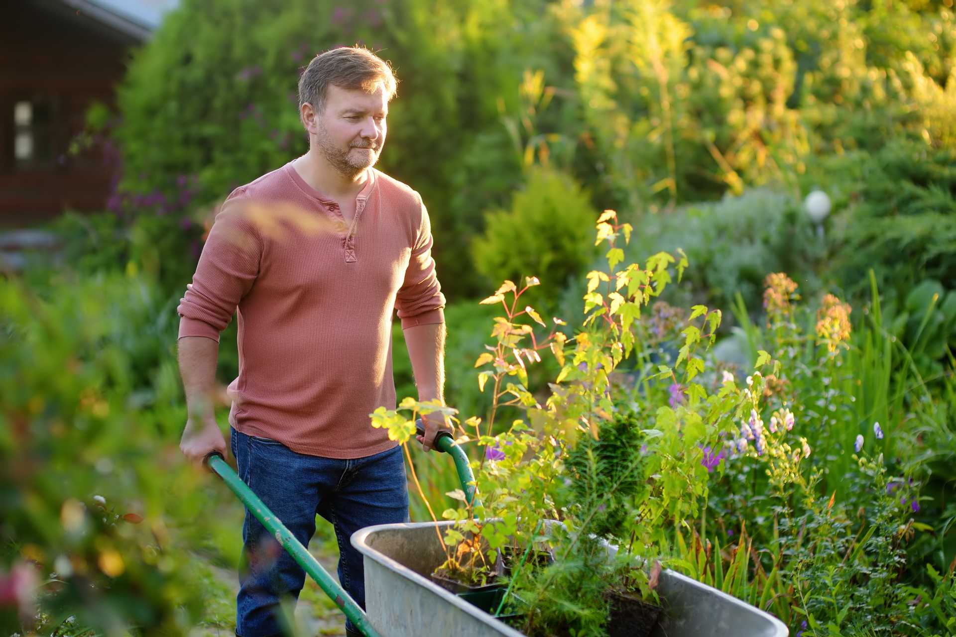 Design Your Outdoor Living Space with Purposely Chosen Plants